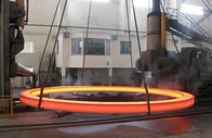316 acciaio inossidabile Ring Hot Forging Bearing Roller di conservazione